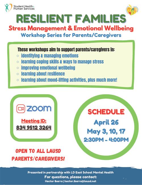 LD East Resilient Families 4 Workshops.jpg